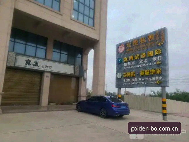 揭秘最新金博体育应用：老用户深度体验分享